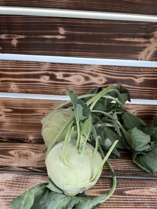 Kohlrabi